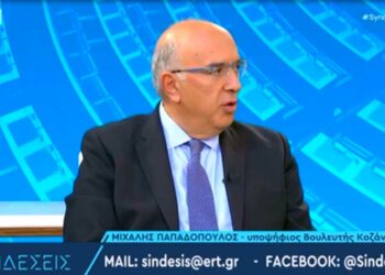 Μιχάλης Παπαδόπουλος: Αν θέλουμε να πάμε μπροστά θέλουμε μια αυτοδύναμη Κυβέρνηση