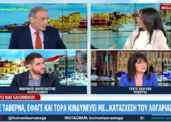Μύκονος: Πήγε να φάει σε ταβέρνα και κλήθηκε να πληρώσει και τα χρέη του ιδιοκτήτη στο Δημόσιο