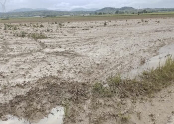 Ο …κακός μας ο καιρός επηρεάζει καλλιέργειες σε Εορδαία & λεκάνη Βεγορίτιδας