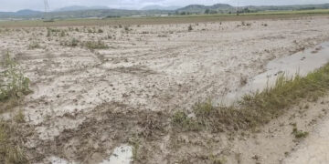 Ο …κακός μας ο καιρός επηρεάζει καλλιέργειες σε Εορδαία & λεκάνη Βεγορίτιδας