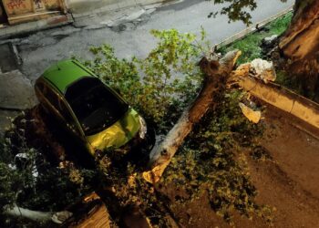 Πτώση κλαδιού από Πλάτανο στην Κοζάνη- Υλικές ζημιές σε αυτοκίνητο