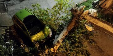 Πτώση κλαδιού από Πλάτανο στην Κοζάνη- Υλικές ζημιές σε αυτοκίνητο