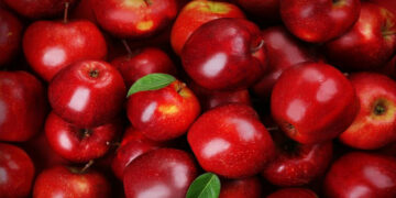 Βέρμιο: Ο ήπιος χειμώνας δημιούργησε προβλήματα ακαρπίας στα μήλα – Το ποσοστό σε κάποιες περιπτώσεις αγγίζει το 40%