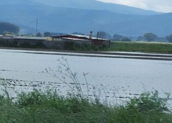 Πλημμύρισαν σημεία του κάμπου της Ασβεστόπετρας (φωτογραφίες)