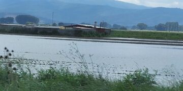 Πλημμύρισαν σημεία του κάμπου της Ασβεστόπετρας (φωτογραφίες)