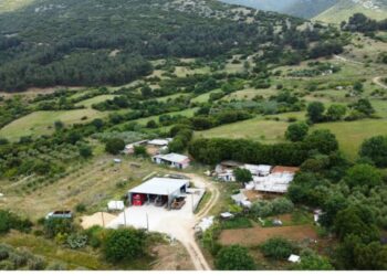 Ανατροπή με το θάνατο 68χρονης κτηνοτρόφου στην Καβάλα