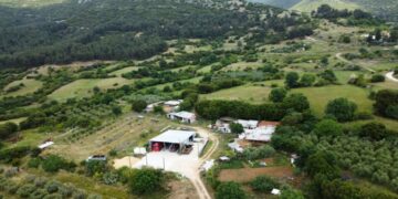 Ανατροπή με το θάνατο 68χρονης κτηνοτρόφου στην Καβάλα
