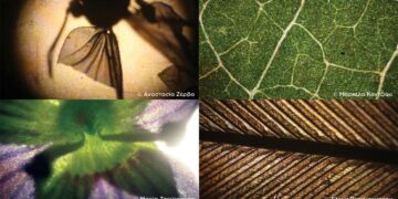 Εγκαίνια έκθεσης φωτογραφίας «Τα παιδιά φωτογραφίζουν τον μικρόκοσμο της Κοζάνης»