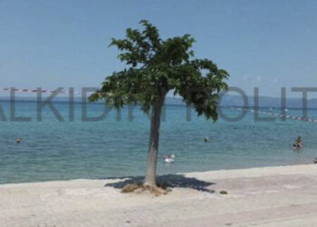 Χαλκιδική: Απαγόρευση για μπάνιο σε παραλία στο Πευκοχώρι – Ψάχνουν χειροβομβίδα