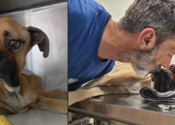 Ένα δάκρυ για τη Νίκη – Γράφει η Χριστιάννα Λούπα