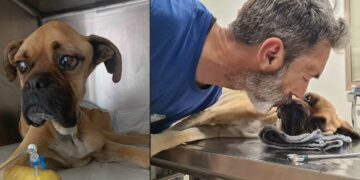 Ένα δάκρυ για τη Νίκη – Γράφει η Χριστιάννα Λούπα