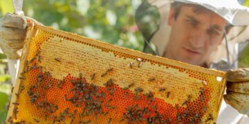 Επιδοτούμενες δράσεις του τομέα της μελισσοκομίας για το έτος 2023 από την Διεύθυνση Αγροτικής Οικονομίας Π.Ε. Κοζάνης