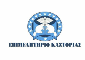 Επιμελητήριο Καστοριάς: Εμπορική αποστολή στην Κορυτσά με σκοπό την αύξηση της εμπορικής κίνησης