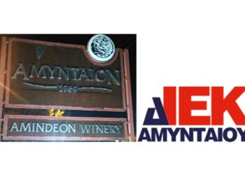 Γαστρονομία και οίνος στο επίκεντρο τριημερίδας από την Amyntas Wines και το ΔΙΕΚ Αμυνταίου
