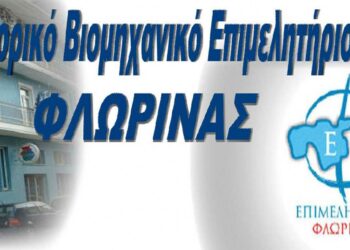 Ημερίδα του Επιμελητηρίου Φλώρινας για την «Εξωστρέφεια, προκλήσεις και τα νέα επιχειρηματικά δεδομένα που διαμορφώνονται»
