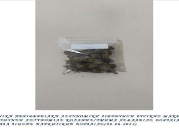 Πτολεμαΐδα: Σύλληψη 33χρονου για κατοχή 12 γρ. κάνναβης – Τα ναρκωτικά μύρισε αστυνομικός σκύλος