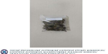 Πτολεμαΐδα: Σύλληψη 33χρονου για κατοχή 12 γρ. κάνναβης – Τα ναρκωτικά μύρισε αστυνομικός σκύλος