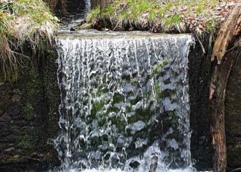 Eξόρμηση ΣΕΟ Κοζάνης στο Πλατανόρρευμα Σερβίων