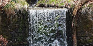 Eξόρμηση ΣΕΟ Κοζάνης στο Πλατανόρρευμα Σερβίων