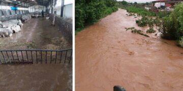 Μεγάλη καταστροφή στην οικογενειακή κτηνοτροφική επιχείρηση του Γιάννη Καραβασίλη λόγω των σφοδρών βροχοπτώσεων – Το μήνυμά του