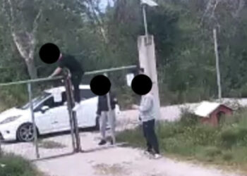 Πτολεμαΐδα: Κλοπή ζώου από το Δημοτικό Καταφύγιο το απόγευμα της Κυριακής