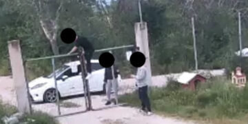 Πτολεμαΐδα: Κλοπή ζώου από το Δημοτικό Καταφύγιο το απόγευμα της Κυριακής