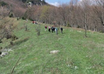 Σ.Ε.Ο Κοζάνης: Εξόρμηση στον Όλυμπο