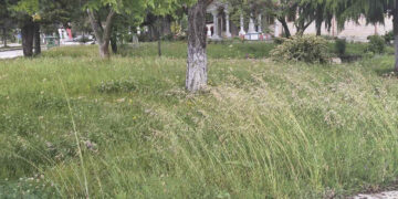 Σύλλογος Ανέργων Αγίου Δημητρίου – Ρυακίου: Ακόμα να κοπούν τα χόρτα από τον Δήμο Κοζάνης