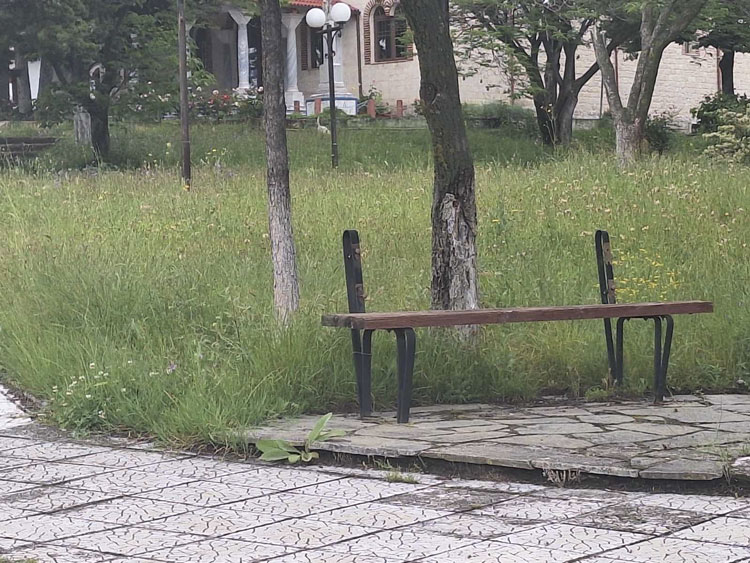 Σύλλογος Ανέργων Αγίου Δημητρίου – Ρυακίου: Ακόμα να κοπούν τα χόρτα από τον Δήμο Κοζάνης