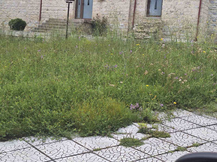 Σύλλογος Ανέργων Αγίου Δημητρίου – Ρυακίου: Ακόμα να κοπούν τα χόρτα από τον Δήμο Κοζάνης