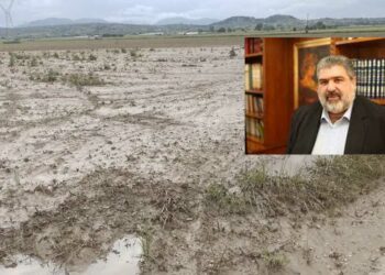 Την άμεση διαδικασία υποβολής δηλώσεων, για τις ζημιές των καλλιεργειών από τις βροχοπτώσεις του Μαΐου ζητά ο Π. Πλακεντάς