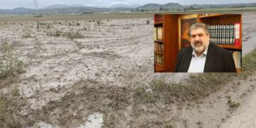 Την άμεση διαδικασία υποβολής δηλώσεων, για τις ζημιές των καλλιεργειών από τις βροχοπτώσεις του Μαΐου ζητά ο Π. Πλακεντάς