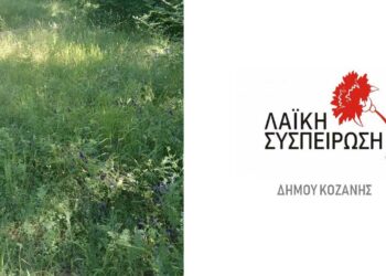 “Λαϊκή Συσπείρωση Δ. Κοζάνης”: «Τα χόρτα στο δήμο έχουν φτάσει μέχρι το κεφάλι μας»