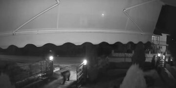 Εμπόριο Εορδαίας: Αρκούδα έκανε νυχτερινή επίσκεψη σε σπίτι (βίντεο)