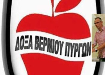 Ποδόσφαιρο: Παρελθόν ο Βαγγέλης Καραγεωργίου από την τεχνική ηγεσία των Πύργων