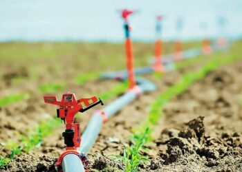 ΥΠΑΑΤ: Συστάσεις προς τους παραγωγούς για τις αρδεύσεις των καλλιεργειών σε συνθήκες καύσωνα