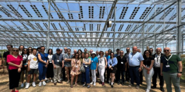 Δύο σοδειές το χρόνο πέτυχε το αμπέλι με τα ημιδιαφανή φωτοβολταϊκά στον αμπελώνα του «Τσάνταλη»