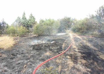 Φωτιά σε χορτολιβαδική έκταση στην περιοχή των Κοίλων Κοζάνης