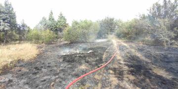 Φωτιά σε χορτολιβαδική έκταση στην περιοχή των Κοίλων Κοζάνης
