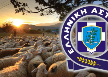 Γρεβενά: Συνελήφθη 58χρονος γιατί απασχολούσε σε κτηνοτροφικές εργασίες αλλοδαπό χωρίς χαρτιά παραμονής στη χώρα