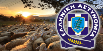 Γρεβενά: Συνελήφθη 58χρονος γιατί απασχολούσε σε κτηνοτροφικές εργασίες αλλοδαπό χωρίς χαρτιά παραμονής στη χώρα