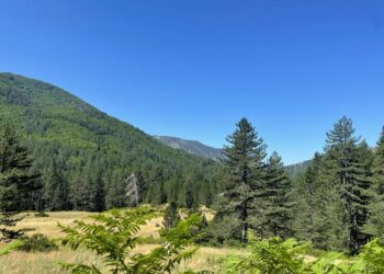 Δήμος Γρεβενών: Βελτίωση προσβασιμότητας στη Βάλια Κάλντα (Βίντεο+Φωτογραφίες)