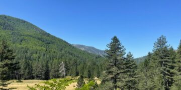 Δήμος Γρεβενών: Βελτίωση προσβασιμότητας στη Βάλια Κάλντα (Βίντεο+Φωτογραφίες)