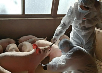 Ημερίδα με θέμα: «Ζωοανθρωπονόσοι στην Περιφέρεια Δυτικής Μακεδονίας. Προσέγγιση ενιαίας υγείας» στο Λιβαδερό Κοζάνης