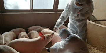 Ημερίδα με θέμα: «Ζωοανθρωπονόσοι στην Περιφέρεια Δυτικής Μακεδονίας. Προσέγγιση ενιαίας υγείας» στο Λιβαδερό Κοζάνης