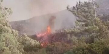 Καστοριά: Βελτιωμένη η εικόνα με την φωτιά στον Γράμμο