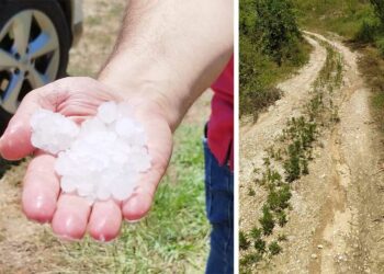 Καστοριά: Νέες ζημιές σε αγροτικές καλλιέργειες από το χαλάζι – Αποζημιώσεις θα διεκδικήσει ο Δήμος