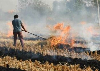 Ενημέρωση προς καλλιεργητές: Απαγορεύεται η καύση φυτικών υπολειμμάτων στα χωράφια