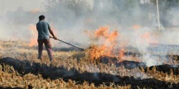 Ενημέρωση προς καλλιεργητές: Απαγορεύεται η καύση φυτικών υπολειμμάτων στα χωράφια