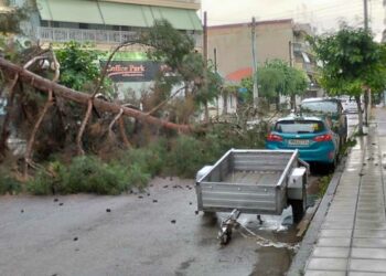 Πτολεμαΐδα: Έπεσε μεγάλο κλαρί από δέντρο πάνω σε Ι.Χ. αυτοκίνητο